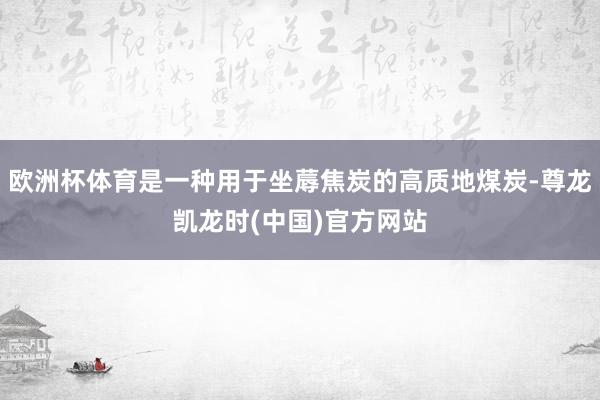 欧洲杯体育是一种用于坐蓐焦炭的高质地煤炭-尊龙凯龙时(中国)官方网站