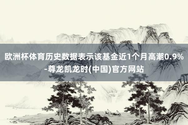 欧洲杯体育历史数据表示该基金近1个月高潮0.9%-尊龙凯龙时(中国)官方网站