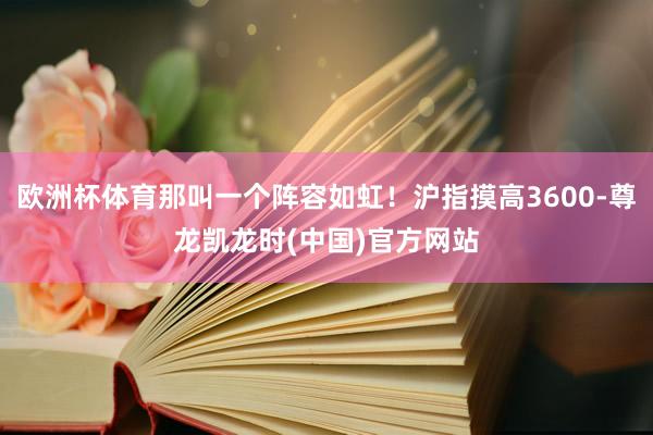 欧洲杯体育那叫一个阵容如虹！沪指摸高3600-尊龙凯龙时(中国)官方网站