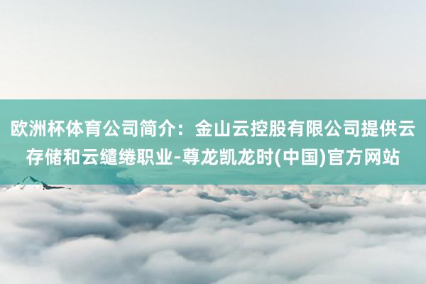 欧洲杯体育公司简介：金山云控股有限公司提供云存储和云缱绻职业-尊龙凯龙时(中国)官方网站