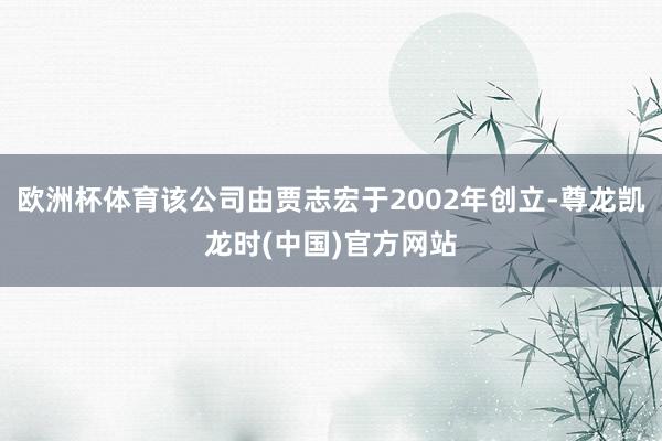 欧洲杯体育该公司由贾志宏于2002年创立-尊龙凯龙时(中国)官方网站
