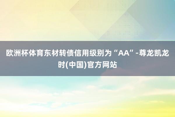 欧洲杯体育东材转债信用级别为“AA”-尊龙凯龙时(中国)官方网站